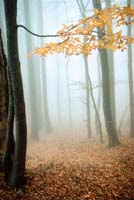 Komarov Eugeni-023-2-1