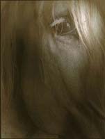 Lecoeur Pascal-020-2-1-