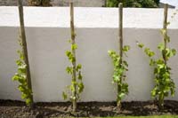 20080630inaugurationjardindesnations (78)