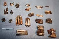 eisenindustrielux200601010