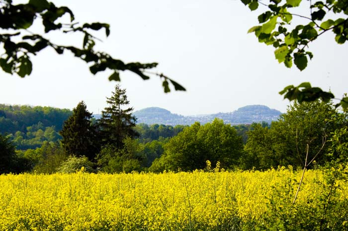 circuitarcheolog200704023