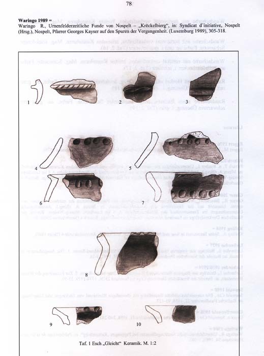 fouillesgleicht2005_6_078