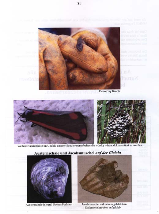 fouillesgleicht2005_6_081