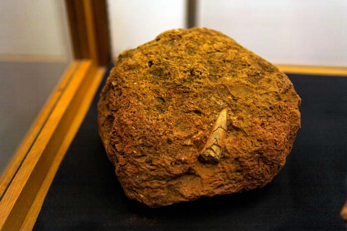 fouillesgleicht200604030