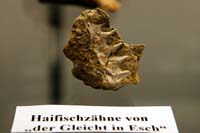 fouillesgleicht200604034