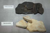 fouillesgleicht200604038