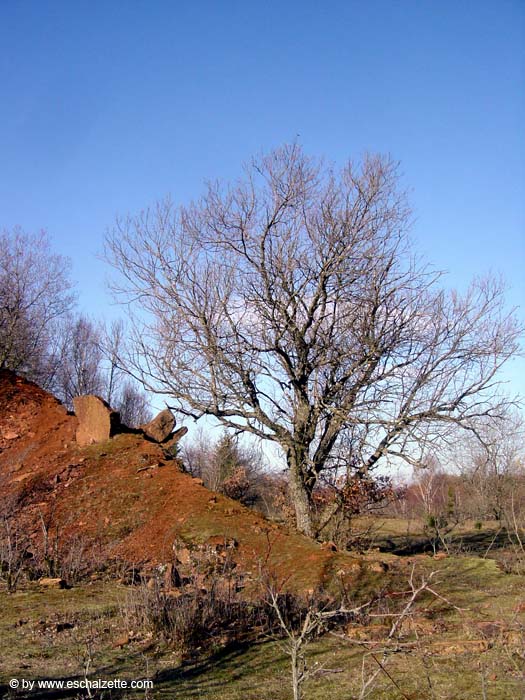 Auf der Berk 2004 02 004