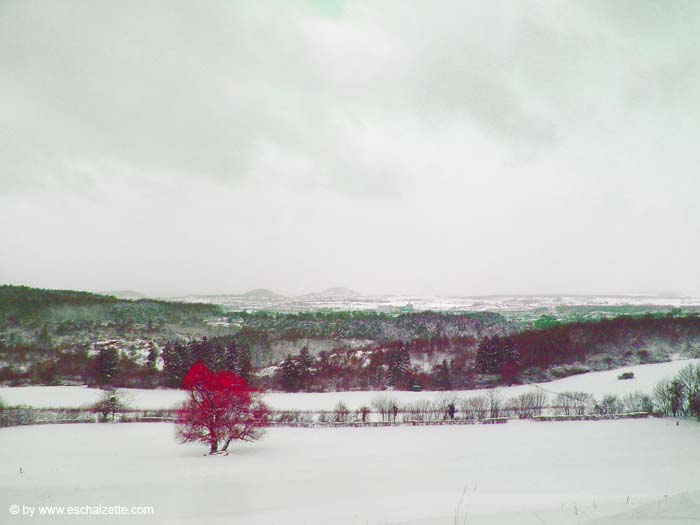 Auf der Hoehl 2004 005