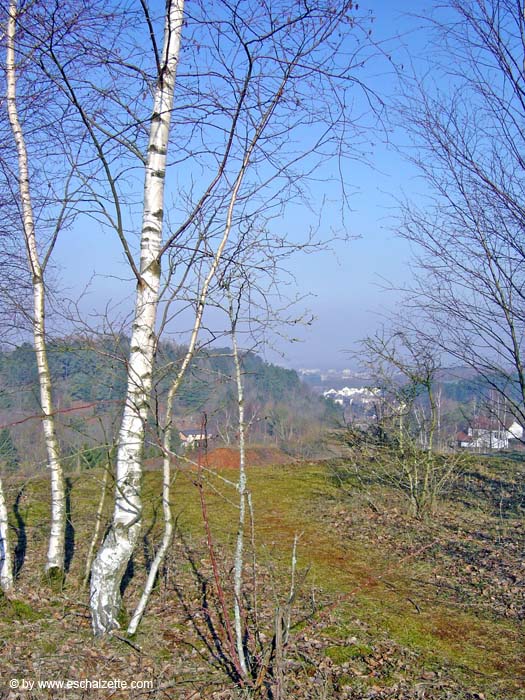 Auf elendigem Berg 2004 03 004