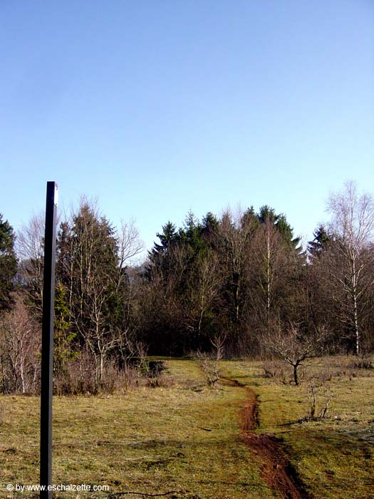 Im Elterngruendchen 2004 02 002