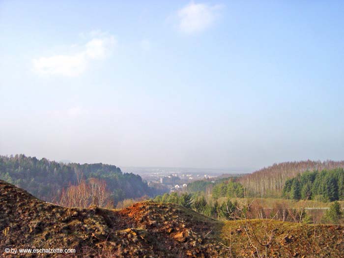 Im Holzemesgrund 2004 02 002