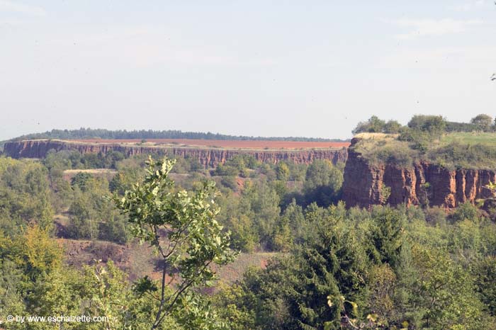 butterflyblue200509006