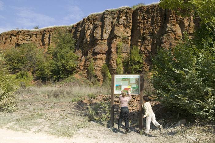 butterflyblue200509014