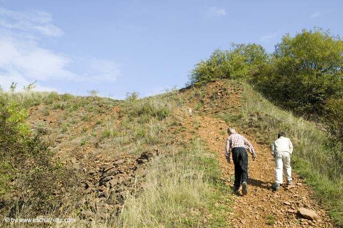 butterflyblue200509015