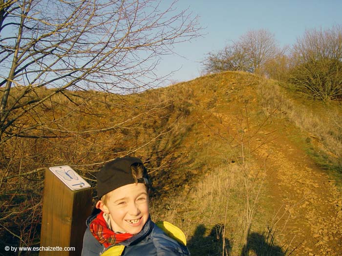 butterflyblue200509015a