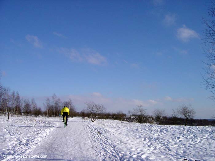 butterflyred200509008a