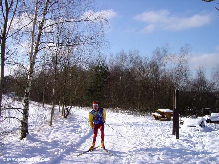 butterflyred200509009a