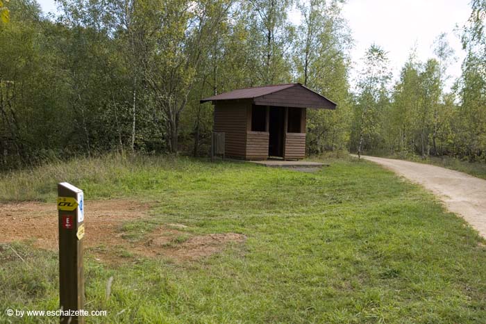 butterflyred200509011