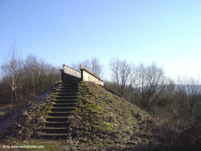 dudelangeautoped02200509021a