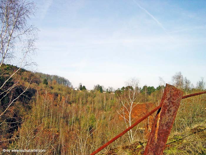 im schlammfeld 2004 02 004