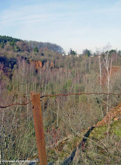 im schlammfeld 2004 02 006