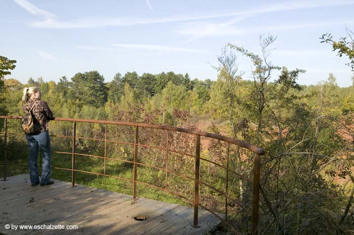 imschlammfeld200510001