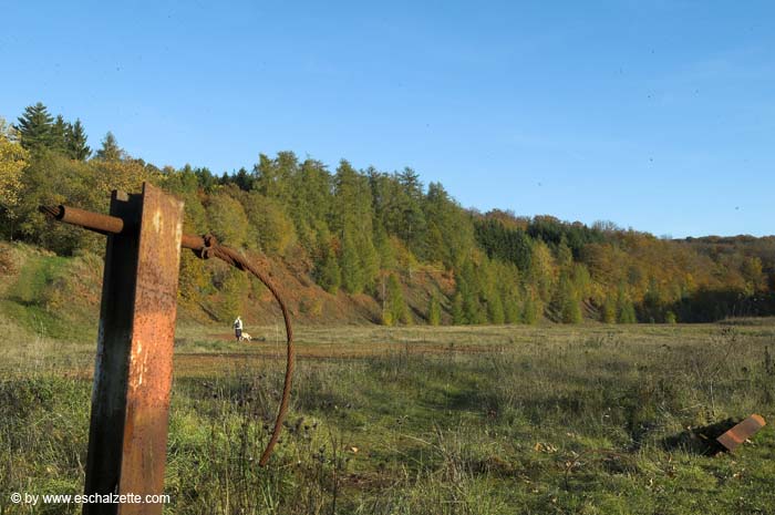 indereisenkaul200510004