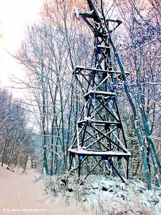 schoellechacht 2004 001