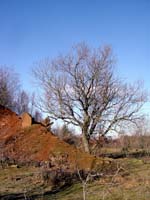 Auf der Berk 2004 02 004