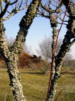 Auf der Berk 2004 03 001