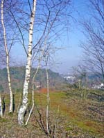 Auf elendigem Berg 2004 03 004