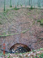 Holzemberg 2001 12 001