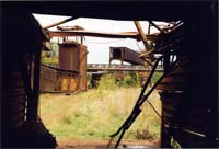 ImWolfengruendchen199909002