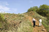 butterflyblue200509015