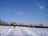 butterflyred200509008a