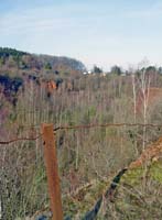 im schlammfeld 2004 02 006