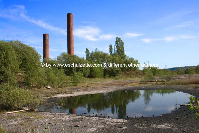 westcenterbelval20004001