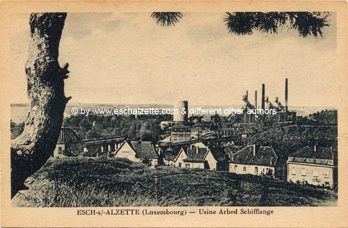 Arbed Schifflange 001 cp x