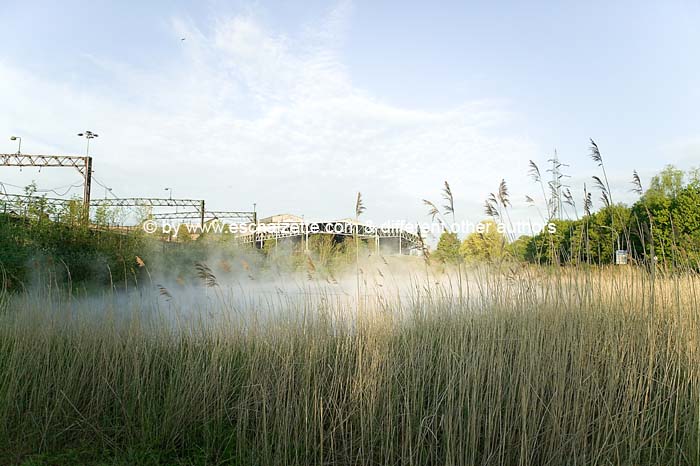 arbedschifflange200405001