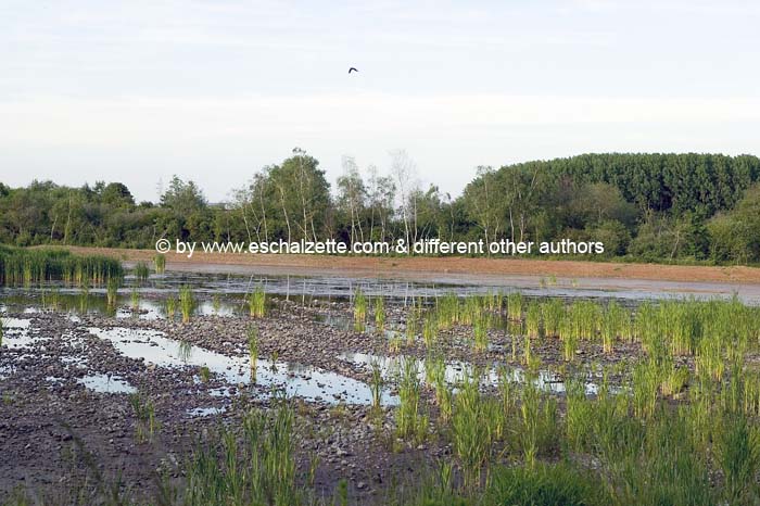 arbedschifflange200405006