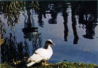 usinesdivers012 cp x