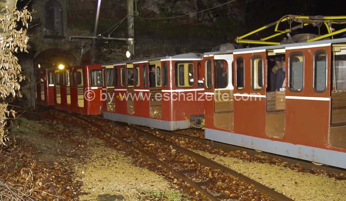 20061204stebarbedhoil015