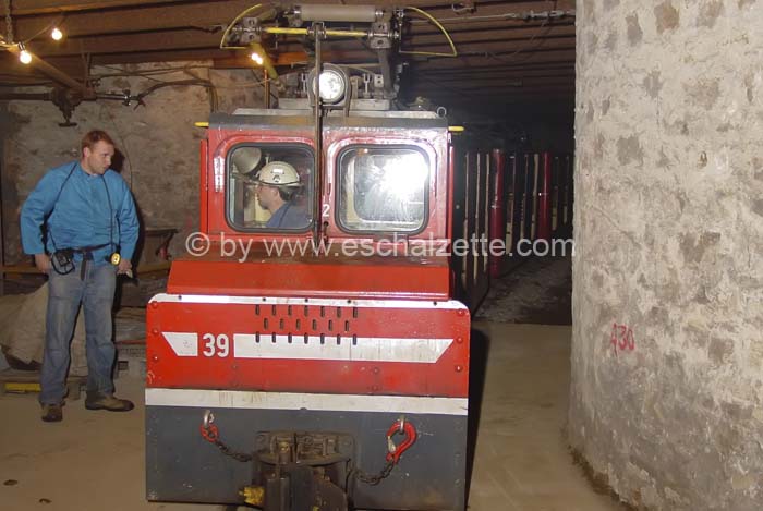 20061204stebarbedhoil018