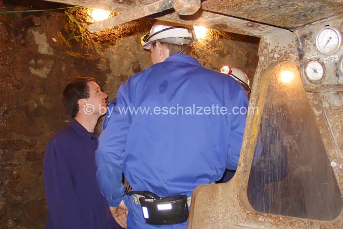 20061204stebarbedhoil026