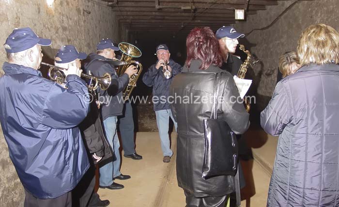 20061204stebarbedhoil029