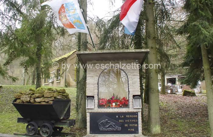 20061204stebarbedhoil039