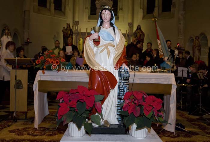 20061204stebarbedhoil030