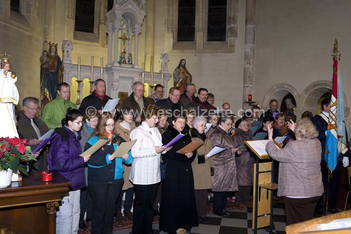 20061204stebarbedhoil046