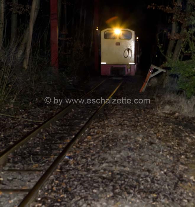 20061204stebarbedhoil050