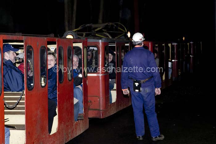 20061204stebarbedhoil052